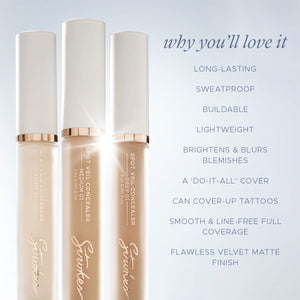 Spot Veil Concealer