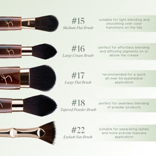 Load image into Gallery viewer, The Pro Brush Elite Collection: Exquisite Eye Series Set
