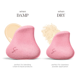 Complexion Pro Beauty Sponge Set